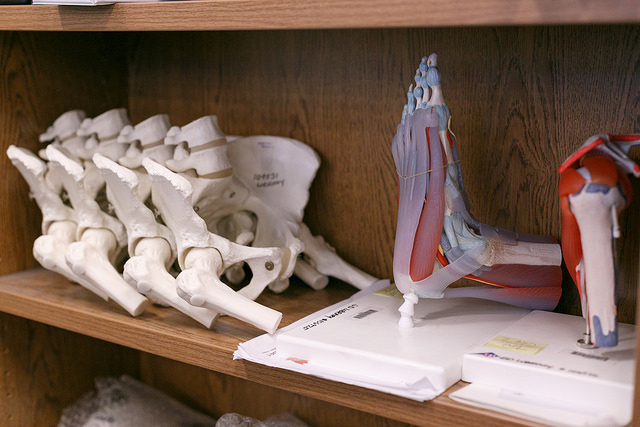 Bone shelves in San Marcos