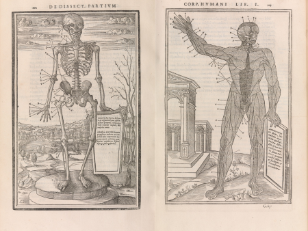 Woodcuts for the ‘De Dissectione Partium Cororis Humani Libri Tres’