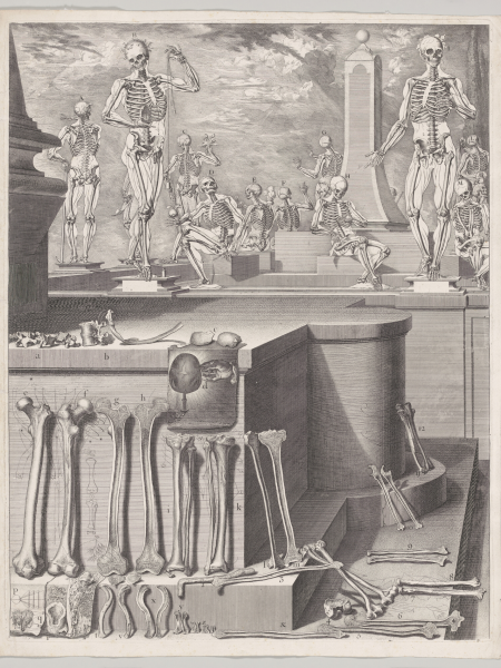 Unpublished Plate for the ‘Atlas Anatomico’