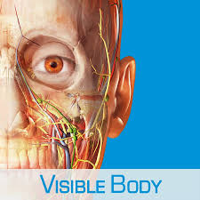 Logo for the Visible Body apps
