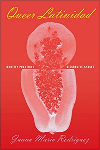 Book cover of "Queer Latinidad : Identity Practices, Discursive Spaces"